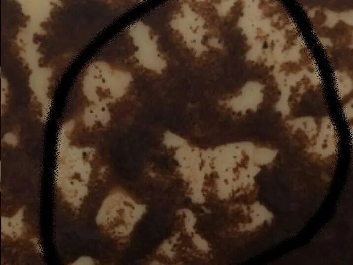 Профессиональная ясновидящая Анна ждет вас